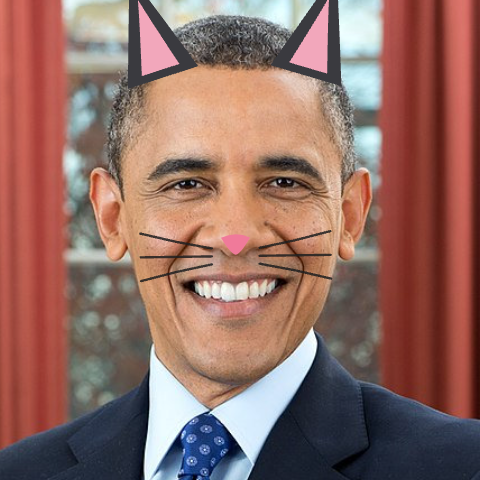 Cat filter